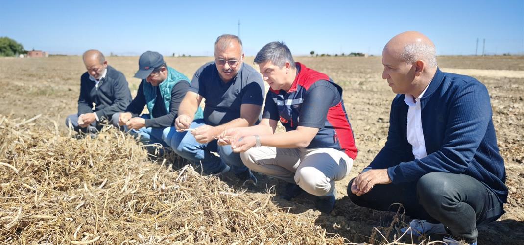 İl Müdürümüz Furkan METE, Merkez Ovacık Köyünde Fasulye Hasatı'na Katıldı.